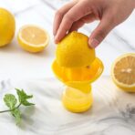 Exprimidor 2 en 1 con spray adaptable boquilla FK23D-25