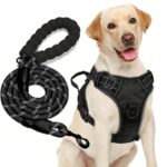 Collar de Perro Raza Mediana