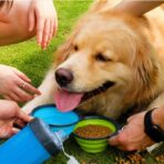 Botilito bebedero de agua y porta comida FK-70