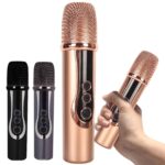 Micrófono Inalámbrico V17 Recargable