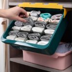 Organizador ropa interior caja de almacenamiento PF152