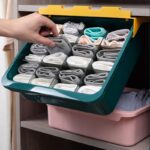Organizador ropa interior caja de almacenamiento PF152