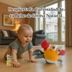 Cangrejo bailarin FK16-cang - Imagen 6