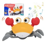 Cangrejo bailarin FK16-cang - Imagen 2